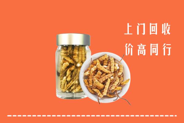 天心区高价回收冬虫夏草